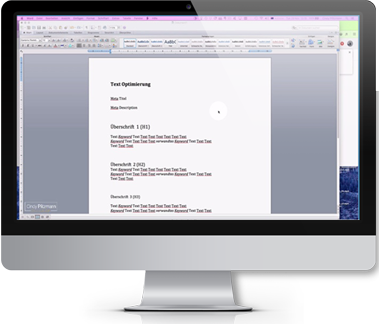 Responsive-showcase-presentation_Modules_texte