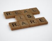 brown wooden blocks with number 6